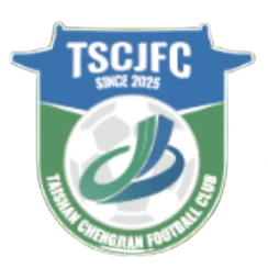 泰安队直播