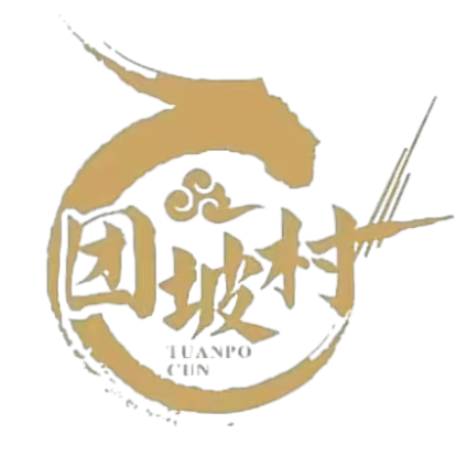 团坡村直播